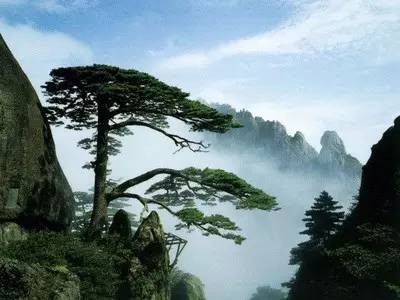 安徽9個AAAAA級景區卻沒有1個在馬鞍山哭暈在廁所~