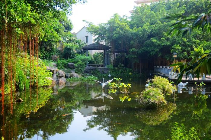 江門新會古兜溫泉小鎮｜離城市不遠靠自然很近！大量美圖攻略