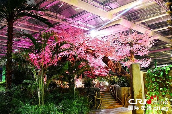 神泉古域世界養生：生態產業鏈助力精準扶貧