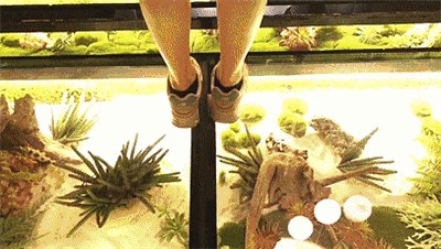 平頂山鬧市中的休閑勝地人工智能+免費美食很多人找不到