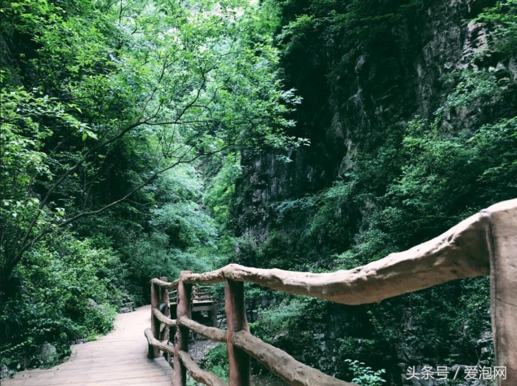 到湖北宜昌旅游必去的五大景區之一：遠安武陵峽口生態旅游度假區
