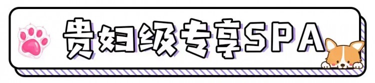 邯鄲這家寵物店竟然有這種福利99%的鏟屎君卻不知道！