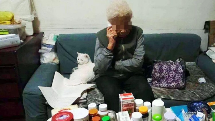 義烏老人花13萬按摩排毒兒子舉報后沒想到家人的反應...簡直被洗腦了