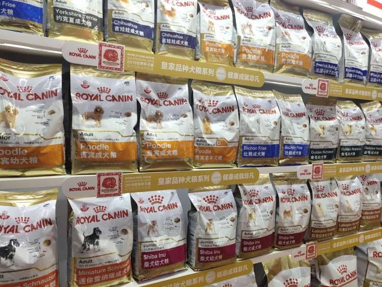 漫威聯名款牽引繩寵物SPA全自動貓廁所…寵博會養寵神器了解一下