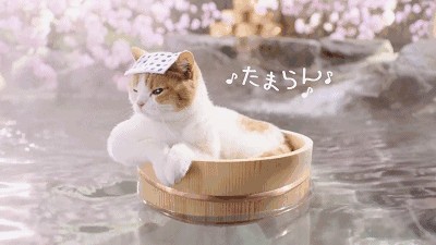 泰州-烏巾蕩溫泉單人溫泉票含魚療養(yǎng)生茶游泳池健身房汗蒸房
