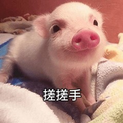 免費(fèi)做SPA花一分錢(qián)算我輸!