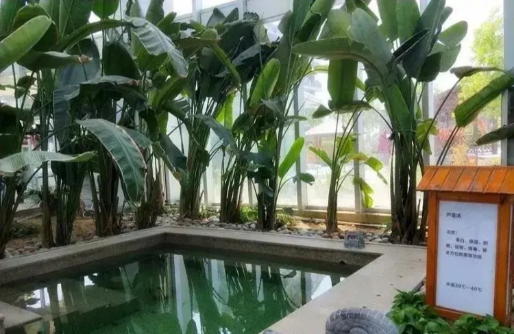 夏季泡溫泉居然這么多好處！濱州這個網紅溫泉打卡地你去了嗎