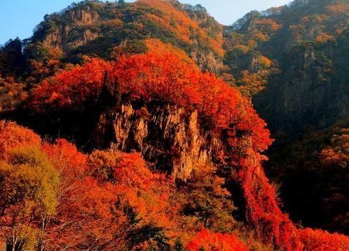 遼寧省內秋天都有哪些休閑項目