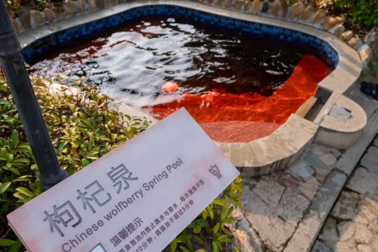 打開春天的正確方式江門這個(gè)優(yōu)質(zhì)溫泉區(qū)值得一去