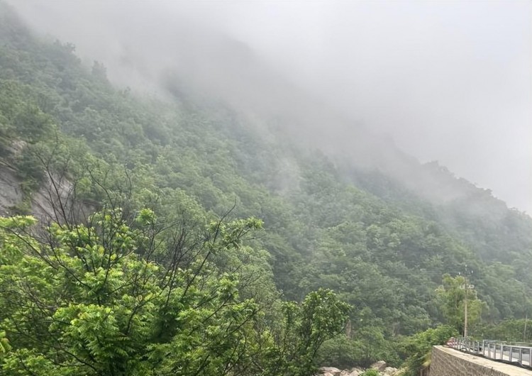 平頂山沒有景區可以去當地人：胡扯！