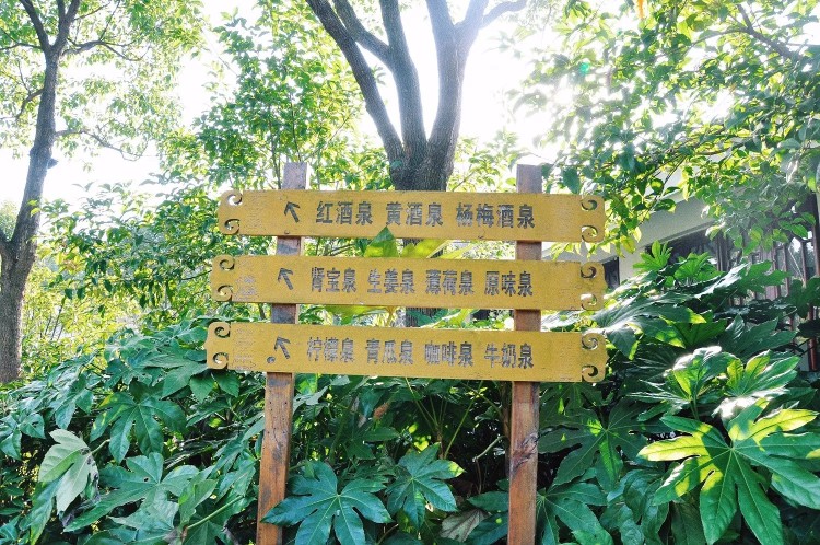余姚陽明溫泉攻略｜在冬日的暖陽里