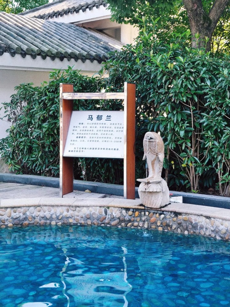 余姚陽明溫泉攻略｜在冬日的暖陽里