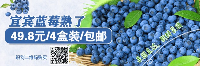 提擋升級!宜賓超大水上樂園開園了!價格