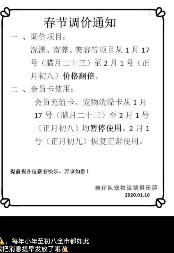 春節常德寵物市場消費升溫寄養美容要趁早