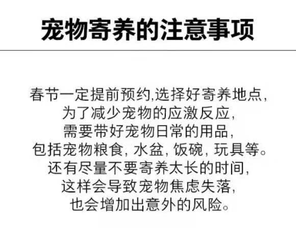 春節常德寵物市場消費升溫寄養美容要趁早