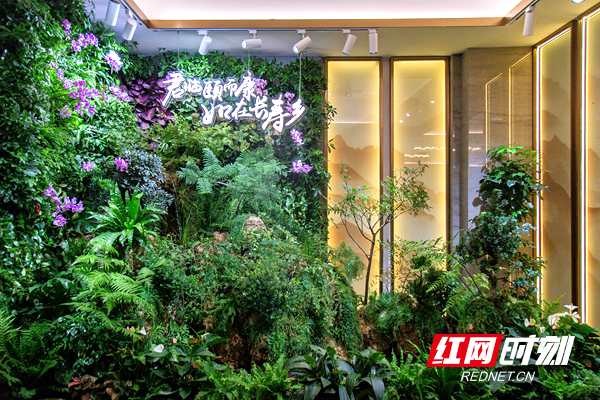 頤而康常德橋南·南金城店9月1日開業將打造健康養生網紅店