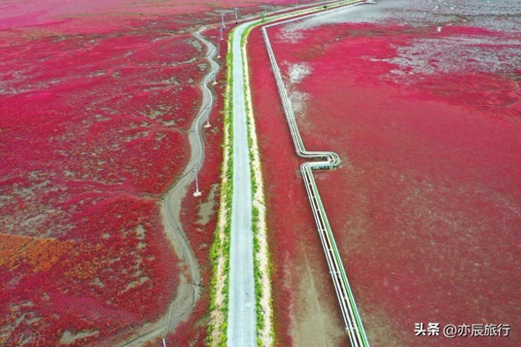 遼寧盤錦六大必去景點2024春節旅游最合適的地方