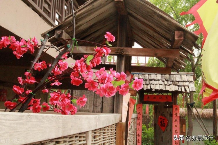 遼寧盤錦六大必去景點2024春節旅游最合適的地方