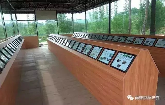 繼玻璃橋后韶關(guān)又爆出了新的玻璃觀景平臺！