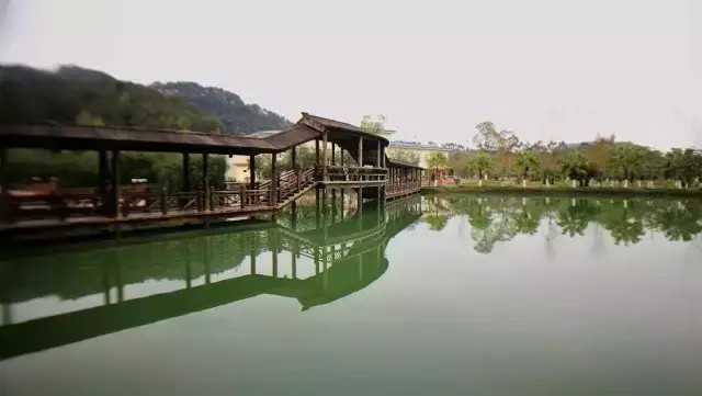 冬夏兩不誤｜原生態的度假生活韶關乳源麗宮國際溫泉酒店