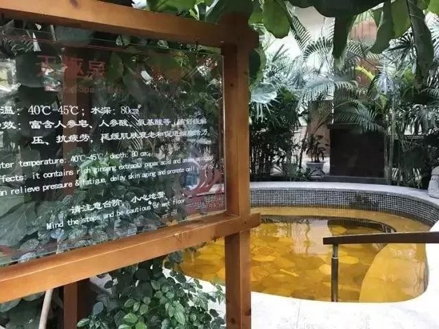 遼陽碧湖溫泉實(shí)拍圖片！端午福利