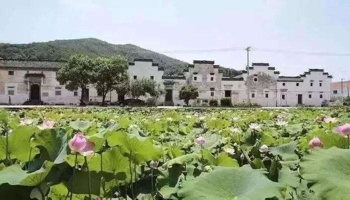 別宅了！諸暨5日療休養精品路線在此浪起來~