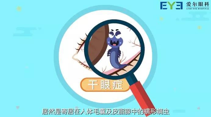 明眸善睞顧盼生輝!——眼部SPA讓你的美睛彩綻放