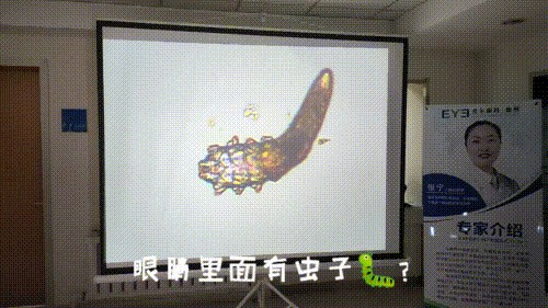 明眸善睞顧盼生輝!——眼部SPA讓你的美睛彩綻放