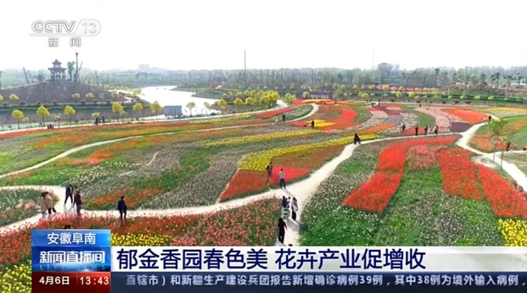來一波2021春天的鮮花溫泉自駕游吧！坐標阜南縣田集鎮