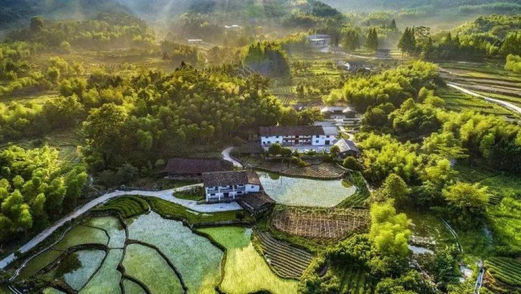 Ｇo兔南平|來天然氧吧為自己做個氧氣SPA吧！