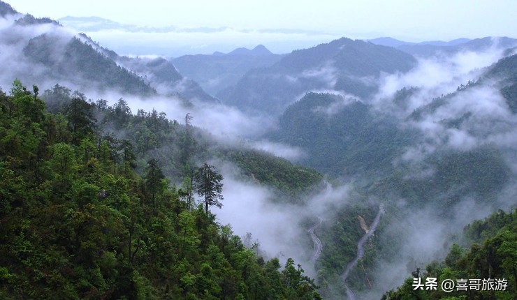 廣東韶關(guān)市乳源縣值得游玩的旅游景點(diǎn)有哪些自駕游有什么攻略