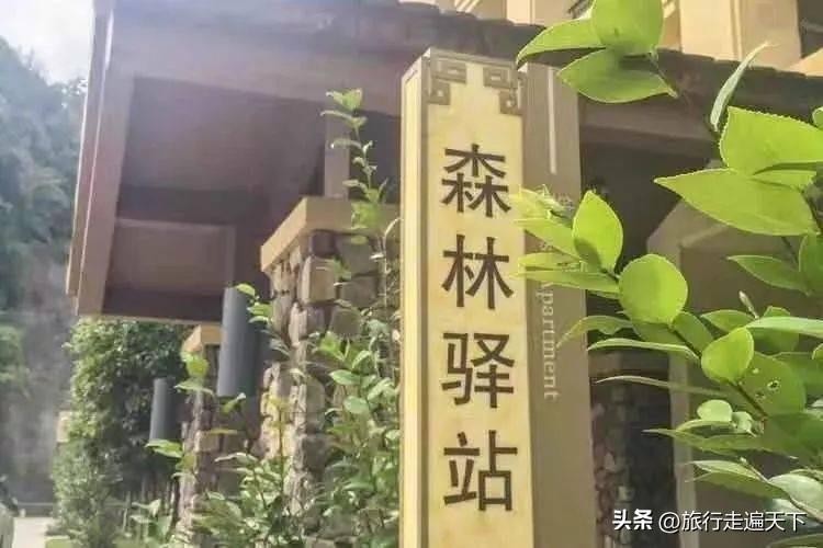 廣東韶關(guān)經(jīng)律論國際溫泉酒店放大招2日游白菜價網(wǎng)友：住得起