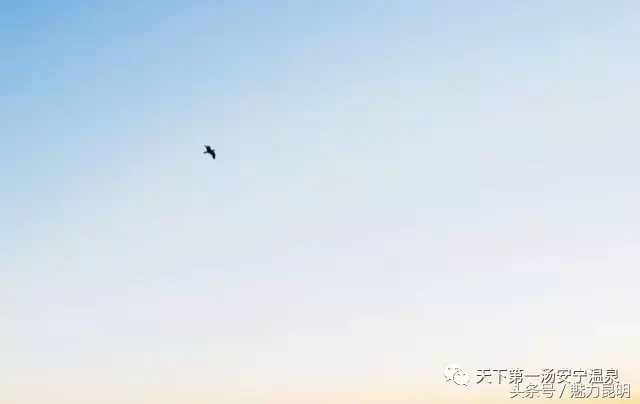 春游踏青云南7大最美的溫泉不可不去！