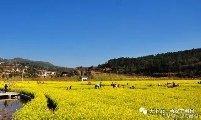 春游踏青云南7大最美的溫泉不可不去！