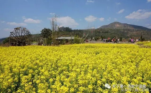 春游踏青云南7大最美的溫泉不可不去！