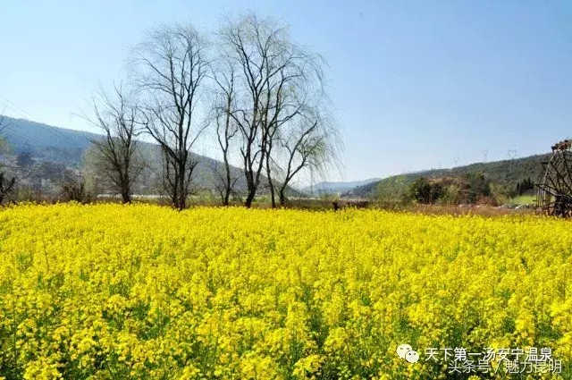 春游踏青云南7大最美的溫泉不可不去！