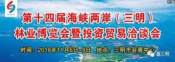 「文中有驚喜」三明首家室內高爾夫會所開業啦！你離高大上只有一根球桿的距離！