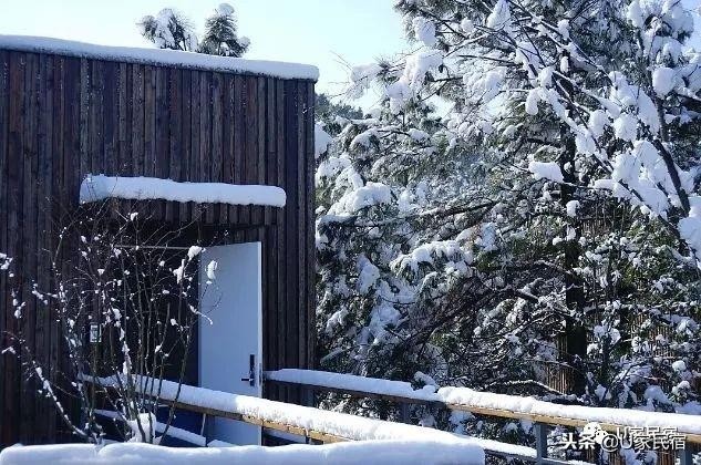 冬日續命必備！我不需要暖氣只要一場竹海雪野里的溫泉spa