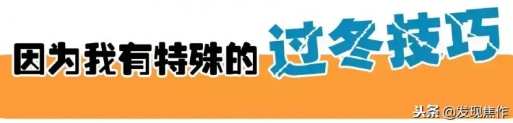 焦作·湯樂宮汗蒸休閑勝地又火了！19.9元超值搶購！錯(cuò)過再無！