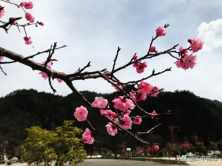漢中春已到！是時候來黎坪做一場康養spa了！