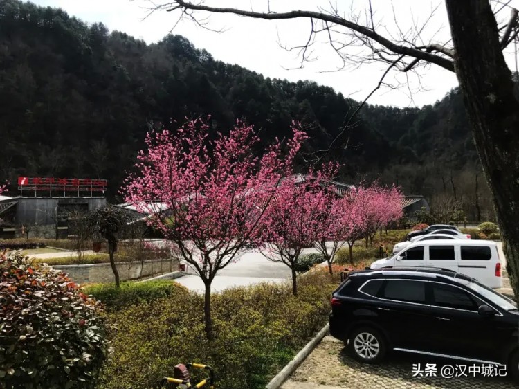 漢中春已到！是時候來黎坪做一場康養spa了！