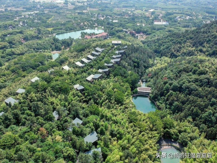 實拍溧陽山野溫泉酒店，不但樹屋別出心裁，足不出戶就能享受溫泉