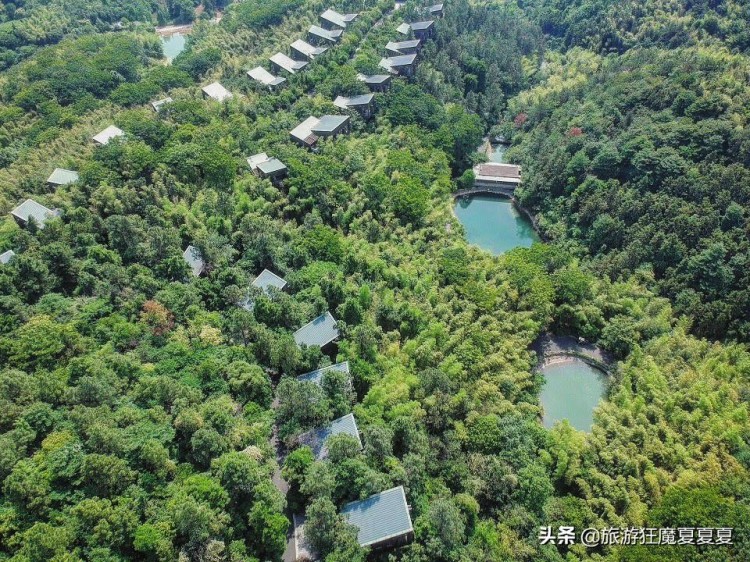 實拍溧陽山野溫泉酒店不僅樹屋別出心裁足不出戶就可享受溫泉