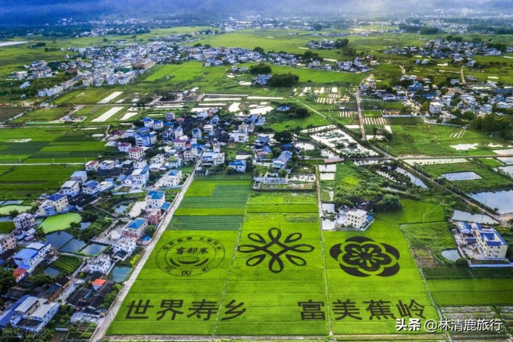 養老過冬就來梅州！被譽為世界長壽之都環境佳常住對身體好