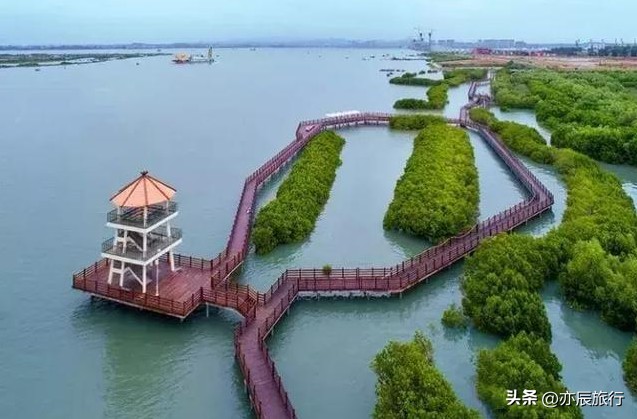 廣東茂名旅游六大必去景點(diǎn)2024春節(jié)旅游最合適的地方