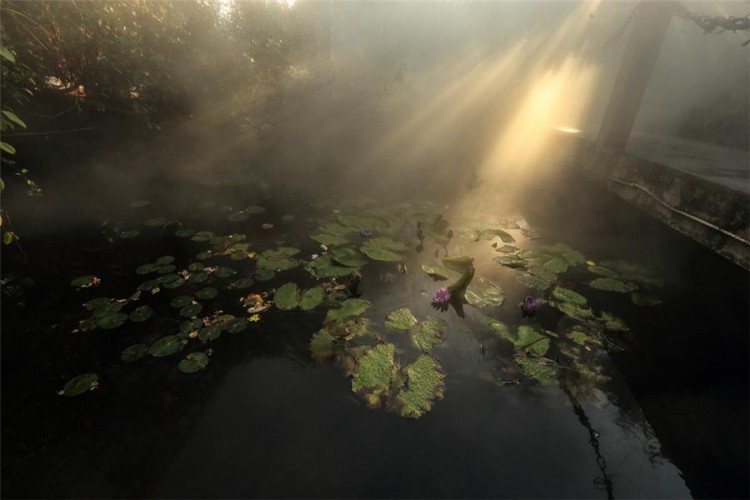玉溪映月潭養(yǎng)生溫泉獲《云南一生要去的10個地方》一等獎