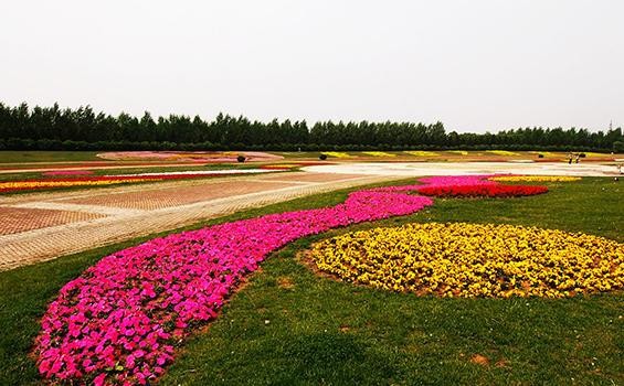 沈陽周邊小眾郊游勝地給心靈做一次spa