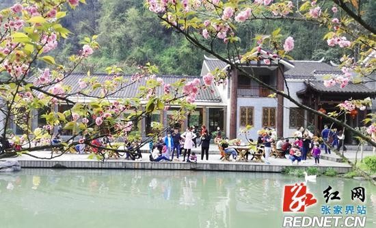 張家界黃龍洞景區推出掃碼支付智能按摩服務項目