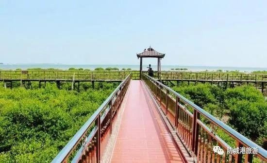 2019最強(qiáng)防城港大全來了!承包你一整年的旅行!