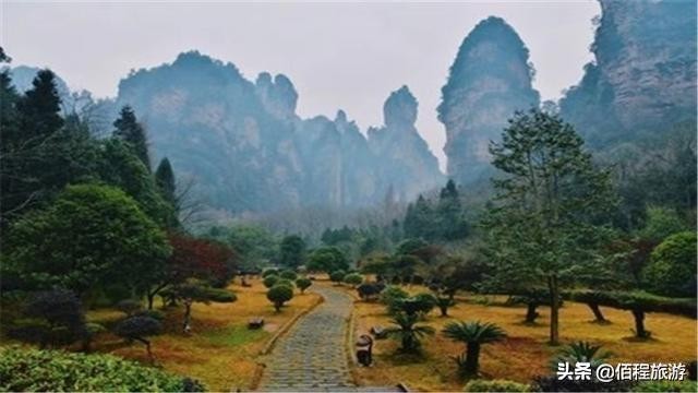 避暑張家界享森林SPA張家界夏季旅游攻略